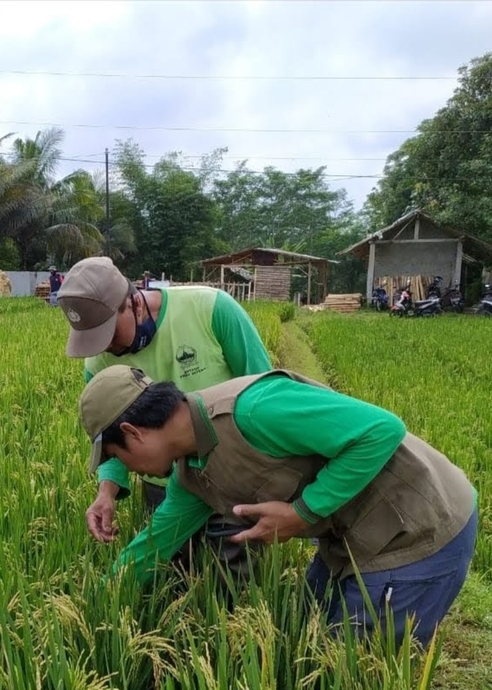 Pendampingan Petani