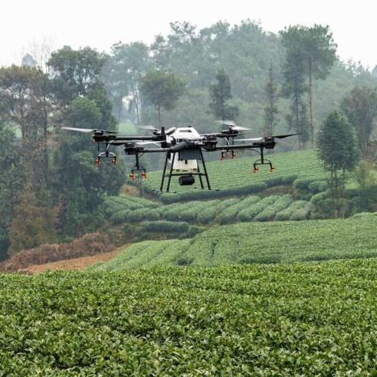 Meningkatkan Efisiensi Pertanian dengan Penggunaan Drone, Kasus Studi di Perkebunan