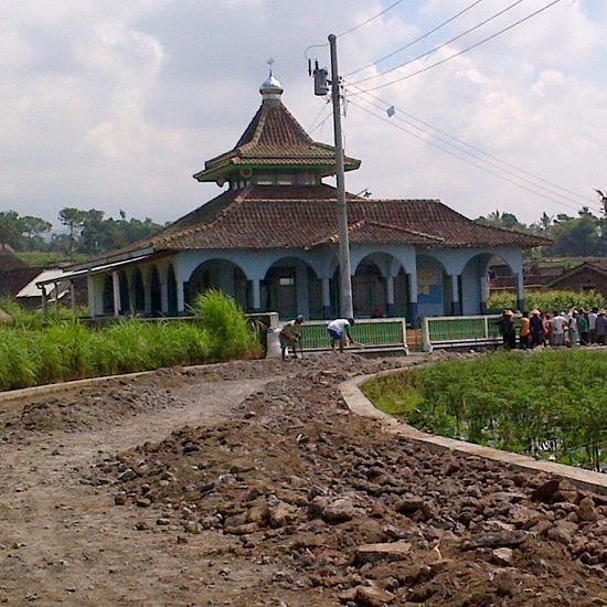 Analisis Situasi dan Permasalahan yang Dihadapi Petani Padi di Dusun Kadugede, Desa Karanganyar, Kecamatan Cijeungjing, Kabupaten Ciamis